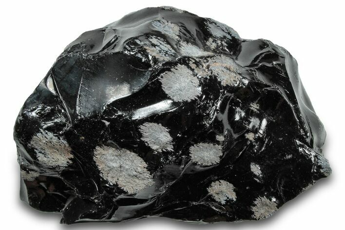 Snowflake Obsidian Section - Utah #300248